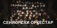 Сениорски оркестар
